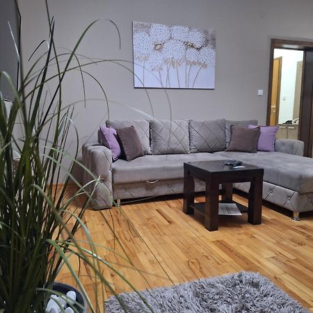 Apartmani Radulovic Vrnjačka Banja 객실 사진