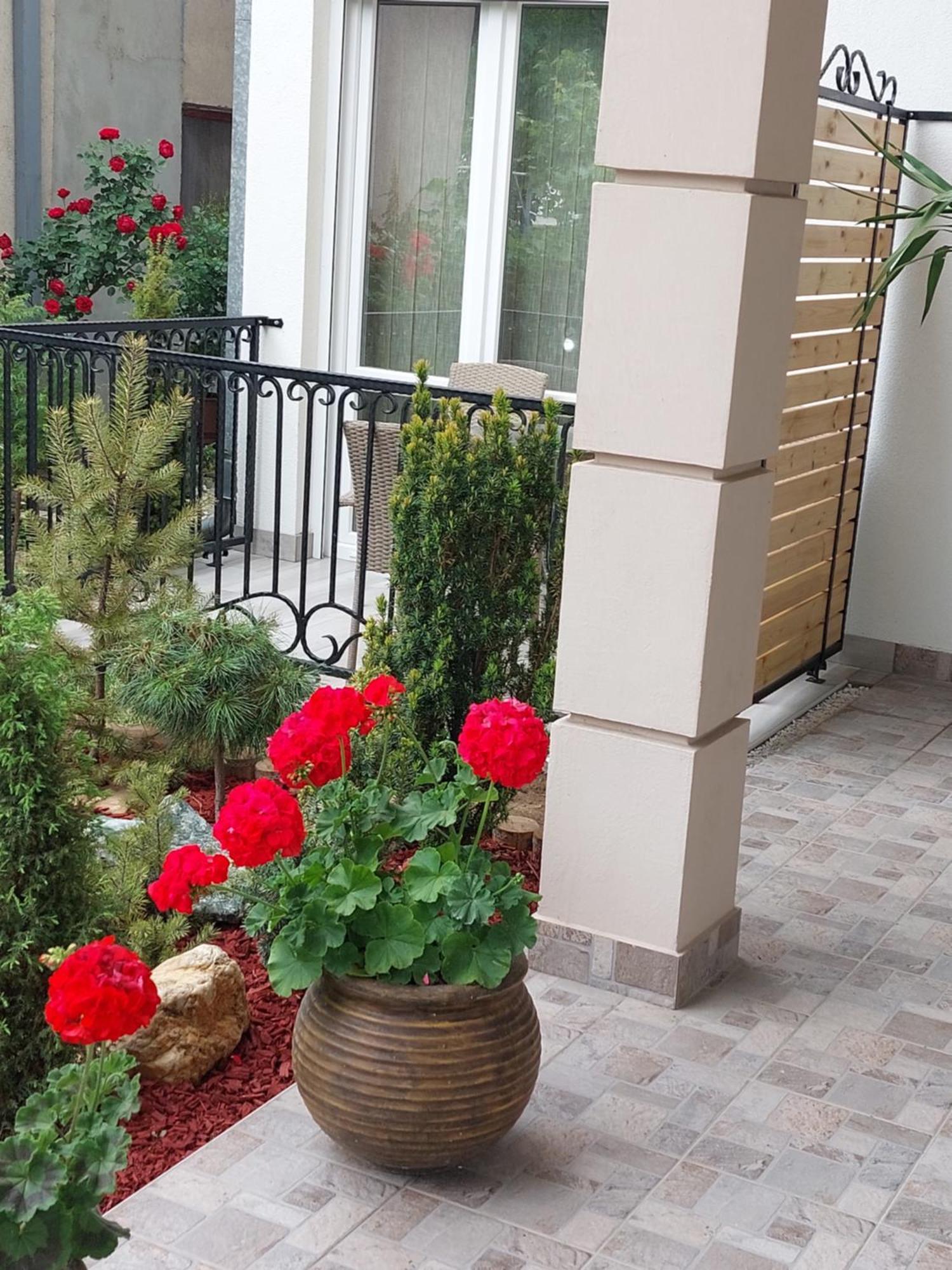 Apartmani Radulovic Vrnjačka Banja 객실 사진