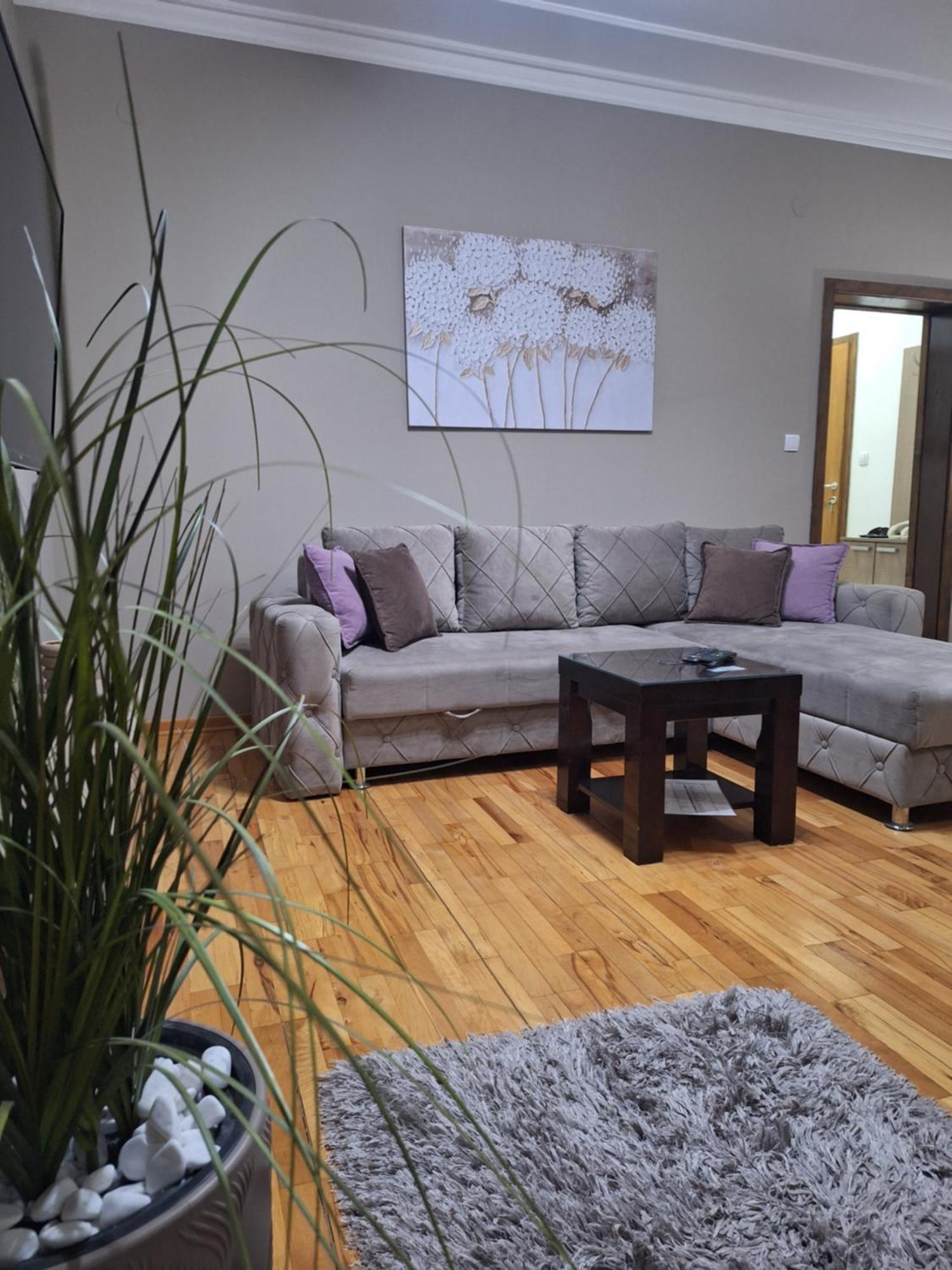 Apartmani Radulovic Vrnjačka Banja 객실 사진